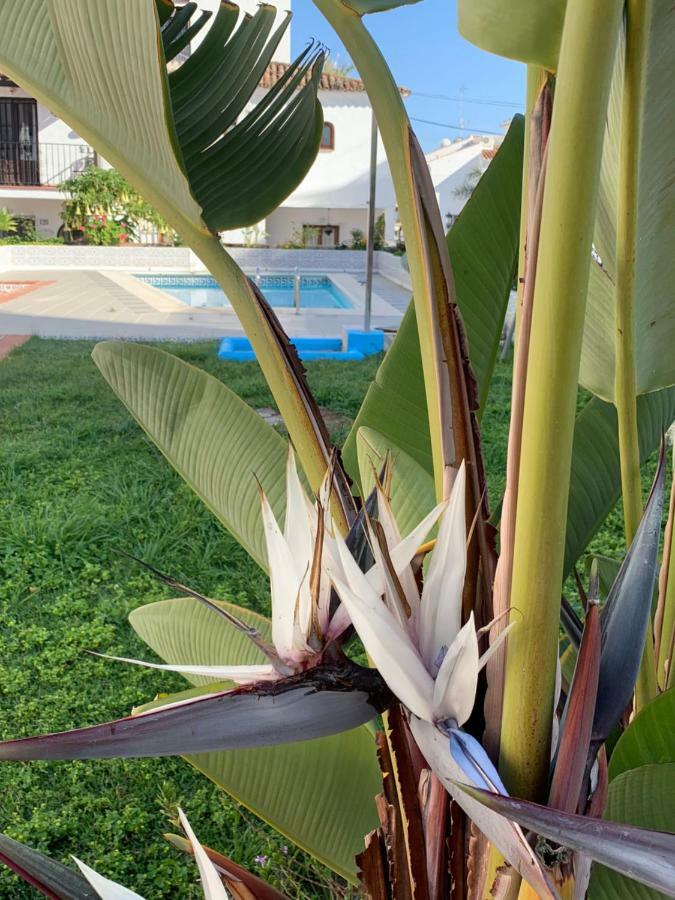 Casa Maria Villa เนร์คา ภายนอก รูปภาพ